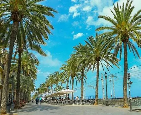 Casabala - Near The And Barcelona Center * バダロナ